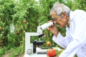 Química y alimentos: los compuestos químicos son tu comida