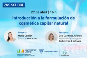 Z&S SCHOOL. Introducción a la formulación de cosmética capilar natural