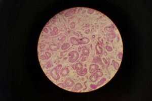 Número de Avogadro: qué es y qué se sabe de su descubridor