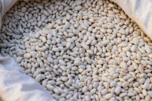 ¿Qué es el potasio? Propiedades y usos