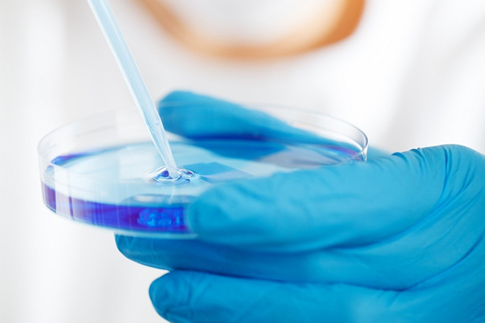 Laboratorio químico donde se muestra una placa de petri y una probeta