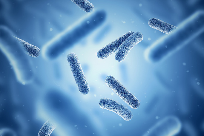 Colonia de bacterias, un peligro para los productos para cerámica que se puede solucionar con conservantes y biocidas.