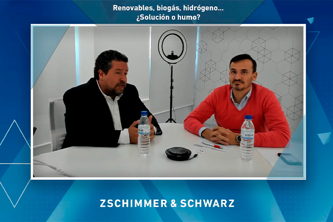 Javier Moliner y Pedro Hernández debaten en la Z&S School sobre energías renovables, biogás e hidrógeno verde