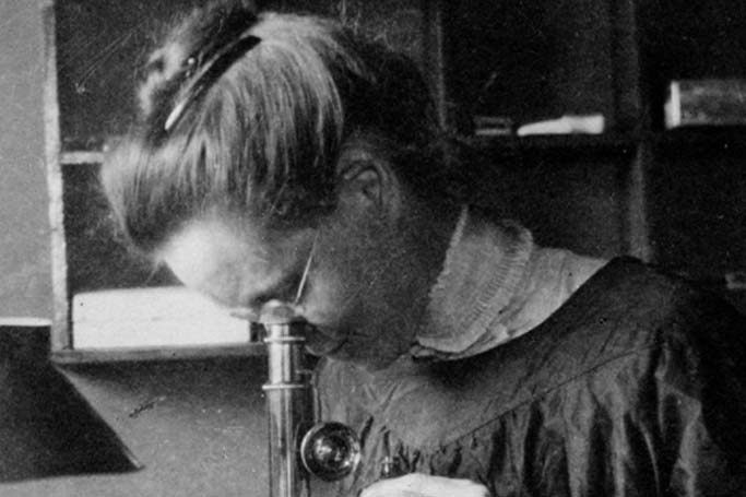 Nettie Stevens, la científica que descubrió los cromosomas X e Y y revolucionó la genética
