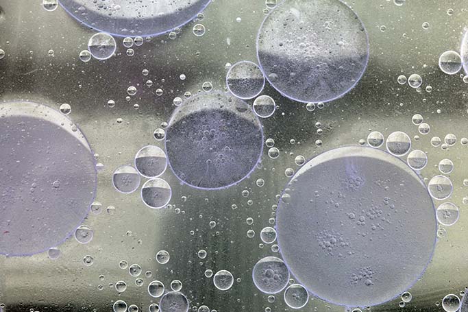 Conoce los engrasantes de cuero