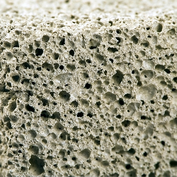 Agentes porógenos PORLAT