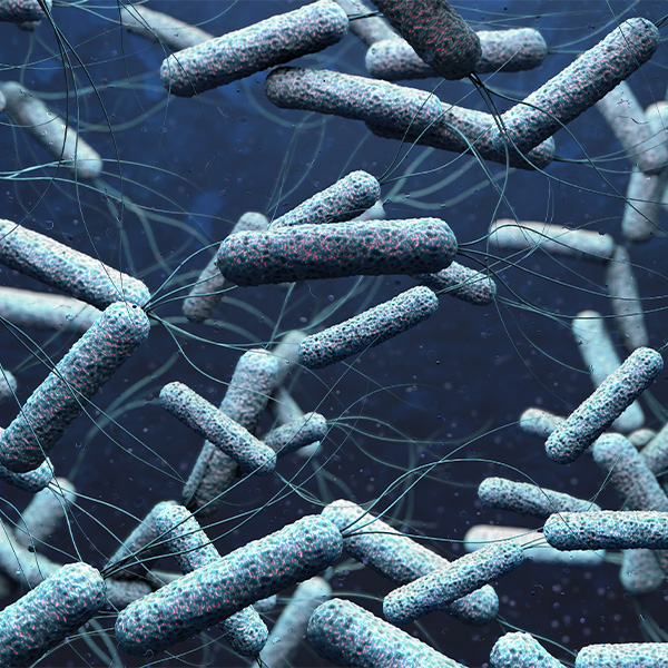 Conservantes PREVENTOL